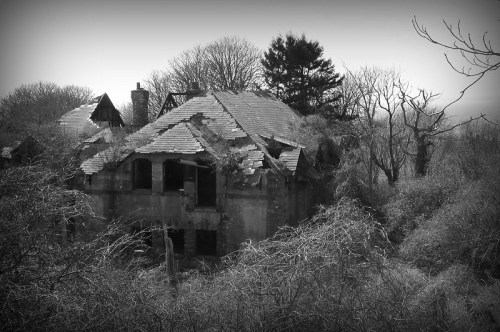 Abandoned, overgrown house with a crumbling roof, surrounded by trees and dense vegetation in black and white.