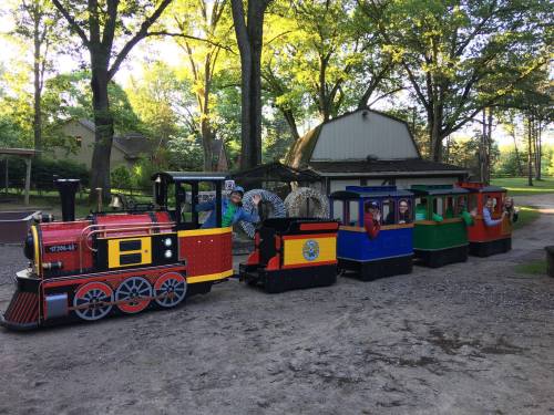 A colorful miniature train with several cars, parked in a park surrounded by trees and a playground in the background.