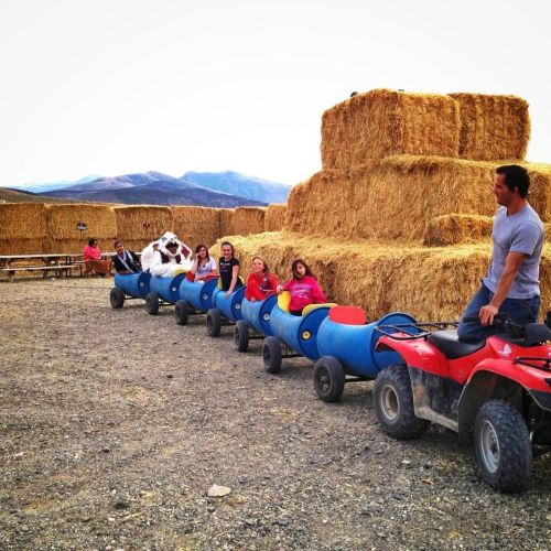 A group of children and adults ride in a barrel train on a farm, with hay bales in the background and an ATV in front.