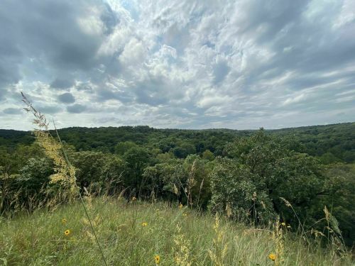 A scenic view of a lush green landscape under a cloudy sky, with tall grass and wildflowers in the foreground.