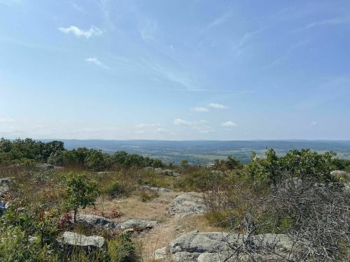 A scenic view from a rocky hillside, featuring green shrubs and a vast landscape under a clear blue sky.
