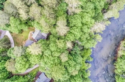 Aerial view of lush green trees surrounding a river and a few houses nestled in the landscape.