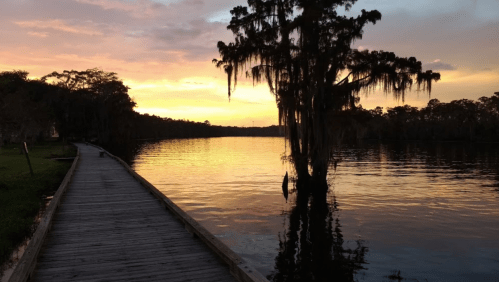 A serene sunset over a calm lake, with a wooden walkway and a silhouetted tree draped in Spanish moss.