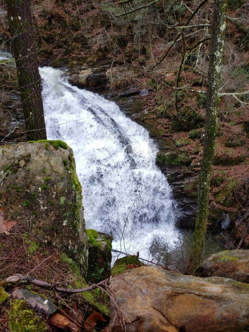 A cascading waterfall flows over rocky terrain, surrounded by trees and moss-covered stones.