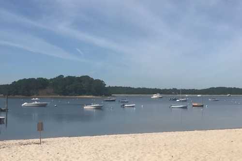 A calm bay with several boats anchored, surrounded by trees and a sandy beach under a clear blue sky.