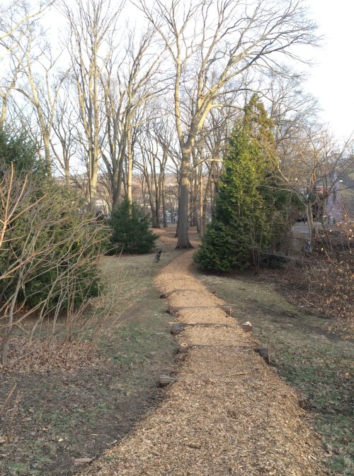 A winding path through a wooded area, lined with trees and shrubs, leading into a serene natural setting.