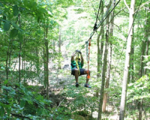 A person zip-lining through a lush green forest, suspended above the ground on a cable.