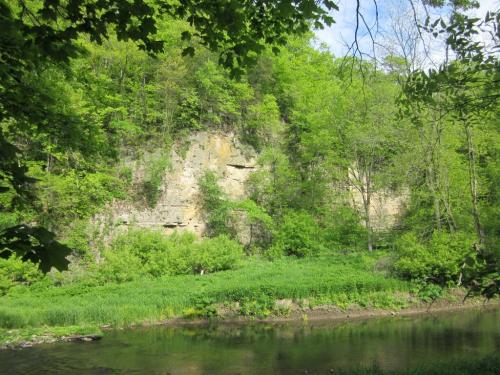 Lush green trees surround a rocky cliff by a calm river under a clear blue sky.