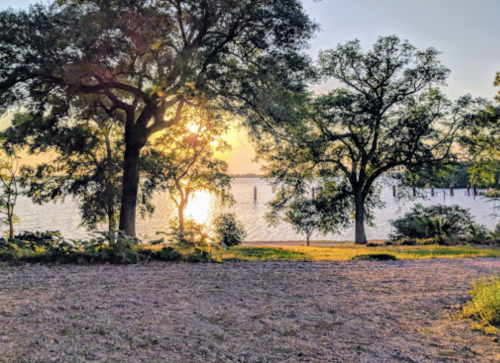 Sunset over a calm lake, framed by trees and a sandy shore, creating a serene natural landscape.