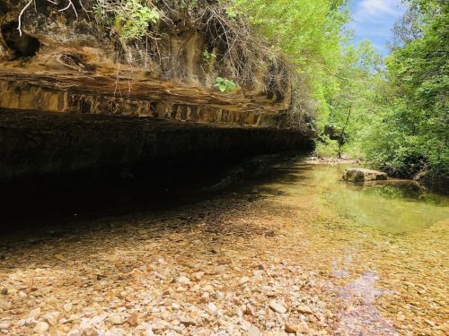 A serene creek flows through a rocky landscape, surrounded by lush greenery and a clear blue sky.