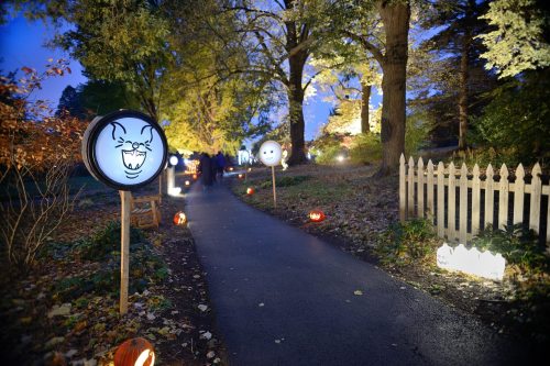 A dimly lit path lined with glowing decorations, including carved pumpkins and whimsical lighted faces, surrounded by trees.