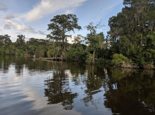 A serene lake scene with trees and reflections on the water under a partly cloudy sky.