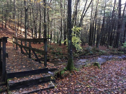 A wooden bridge over a small stream in a forest with autumn leaves scattered on the ground.
