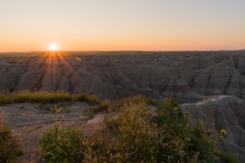 Sunrise over rugged Badlands terrain, with golden light illuminating the landscape and wildflowers in the foreground.