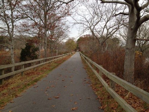 A quiet, tree-lined path with fallen leaves, bordered by wooden fences, leading into a serene, autumn landscape.