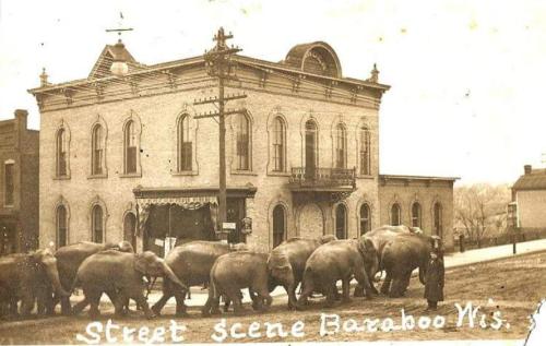 Historic street scene in Baraboo, Wisconsin, featuring a line of elephants walking past a brick building.