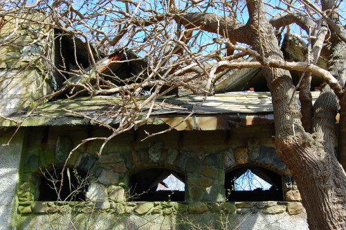 An old, abandoned building with stone walls, a damaged roof, and bare branches of a tree in the foreground.