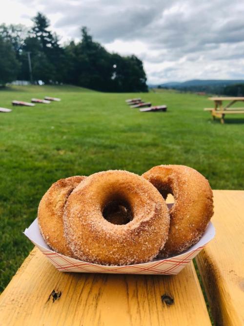 A close-up of three cinnamon sugar donuts on a picnic table, with a grassy field and cloudy sky in the background.