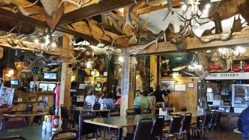 A rustic restaurant interior with wooden decor, antlers on the walls, and diners seated at tables.