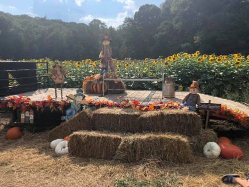 A festive outdoor scene with hay bales, pumpkins, scarecrows, and sunflowers, creating a fall-themed display.