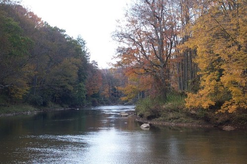 A serene river flows through a forest with vibrant autumn foliage in shades of orange and yellow.
