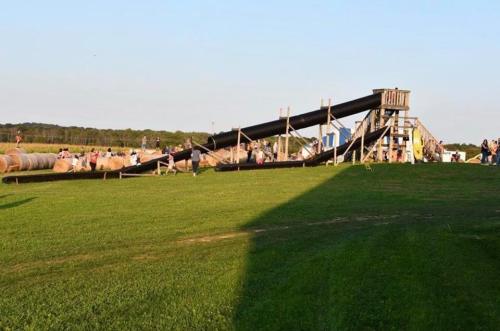 A playground with a large slide and climbing structure, surrounded by green grass and people enjoying the area.