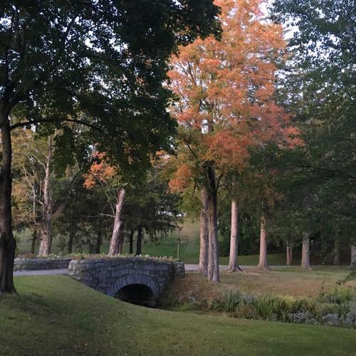 A serene park scene featuring a stone bridge surrounded by trees with autumn foliage.