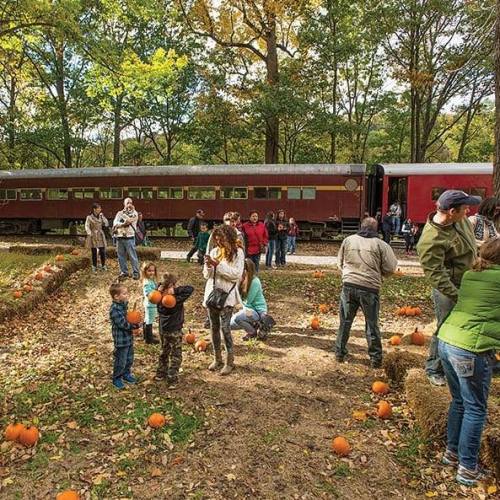 Families and children gather in a pumpkin patch near a vintage train, surrounded by autumn foliage.