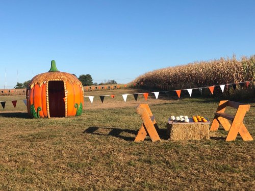 A pumpkin-shaped playhouse in a field with hay bales and orange-and-black bunting, surrounded by corn stalks.