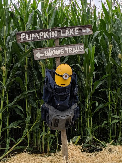 A signpost points to "Pumpkin Lake" and "Hiking Trails," with a Minion toy on a backpack in front of tall corn plants.