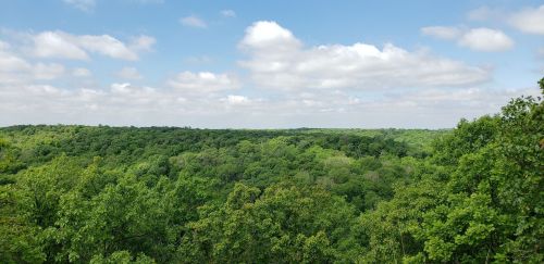 A panoramic view of a lush green forest under a partly cloudy blue sky.
