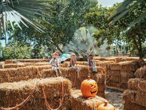 Scarecrows sit on hay bales in a pumpkin patch, surrounded by lush greenery and a carved pumpkin.