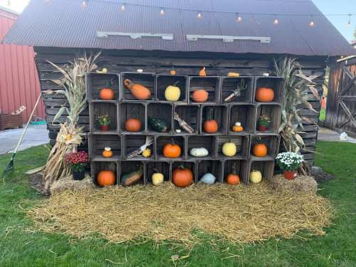 A rustic display of pumpkins and gourds arranged in wooden crates, surrounded by straw and fall decorations.