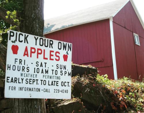 Sign reading "Pick Your Own Apples" with hours and contact info, in front of a red barn.