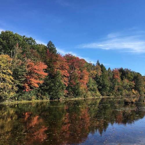 A serene lake reflecting vibrant autumn trees under a clear blue sky.