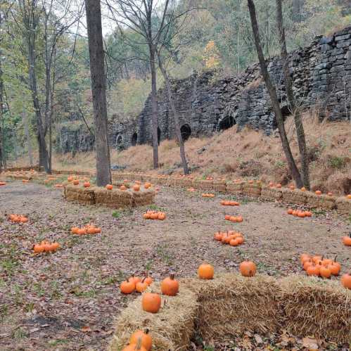 A scenic autumn landscape with scattered pumpkins on straw bales, surrounded by trees and a stone wall in the background.