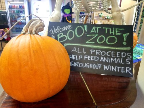 A large pumpkin beside a sign that reads "Welcome to BOO! AT THE ZOO! All proceeds help feed animals throughout winter."