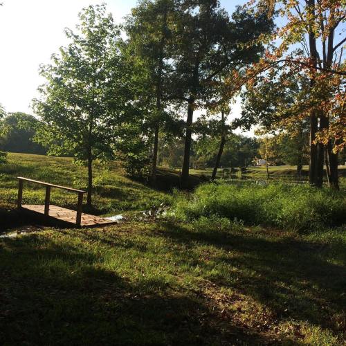 A serene landscape featuring a wooden bridge over a small stream, surrounded by lush greenery and trees.