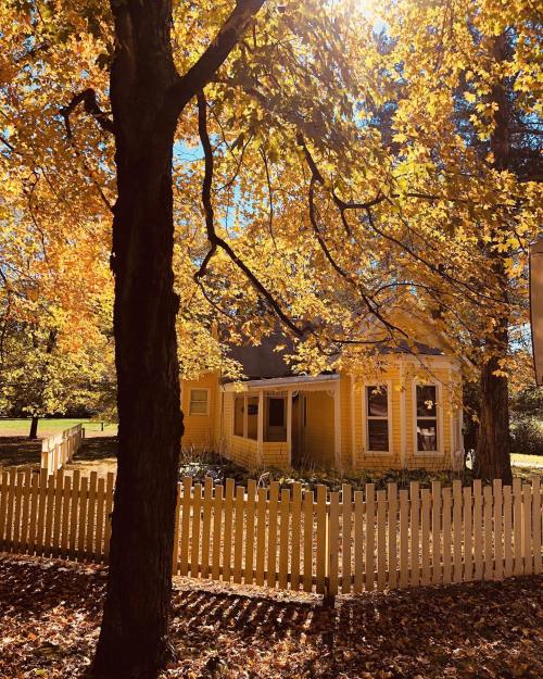 A charming yellow house surrounded by vibrant autumn leaves and a white picket fence under a bright blue sky.