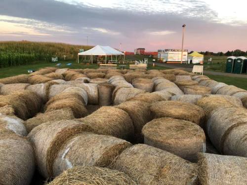A field with round hay bales arranged in a maze, with tents and portable restrooms in the background under a colorful sky.