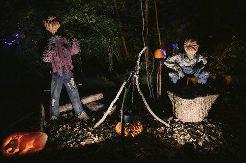 Two scarecrows in a dark forest, surrounded by pumpkins and autumn leaves, creating a spooky Halloween atmosphere.