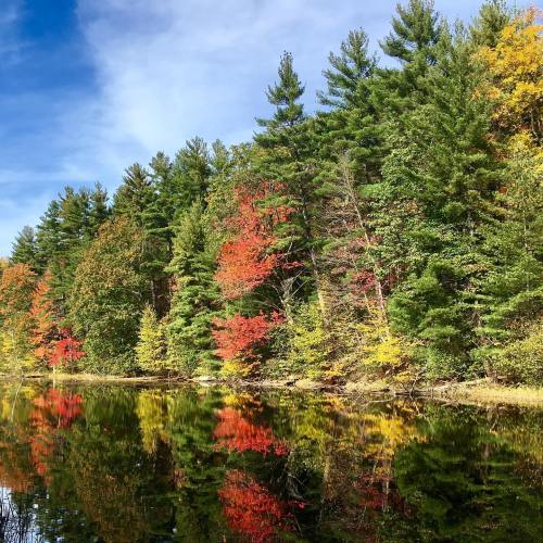 A serene lake reflects vibrant autumn trees in shades of green, red, and yellow under a clear blue sky.