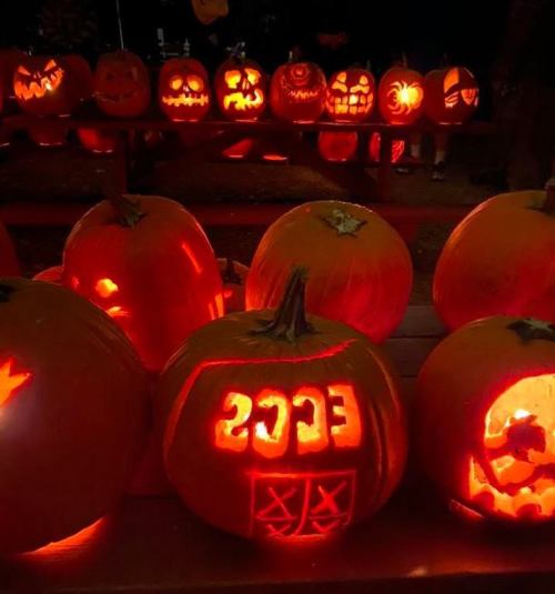 A display of carved pumpkins with various spooky designs, glowing warmly in a dark setting.