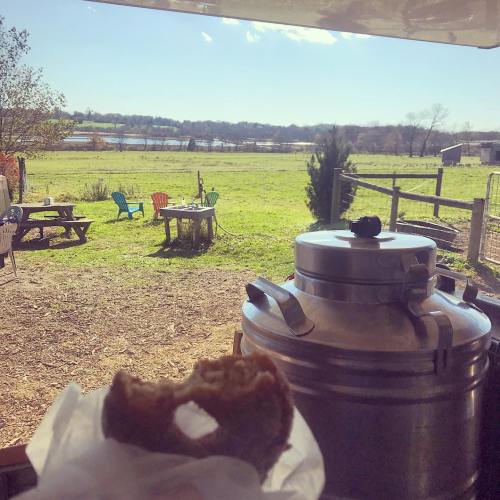 A scenic view of a field and lake, with a hand holding a partially eaten donut in the foreground.