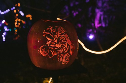 A carved pumpkin featuring an astronaut design, illuminated against a dark background with colorful lights.