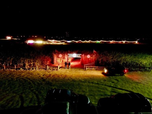 A nighttime view of a festive entrance to a vineyard, illuminated with colorful lights and surrounded by dark fields.