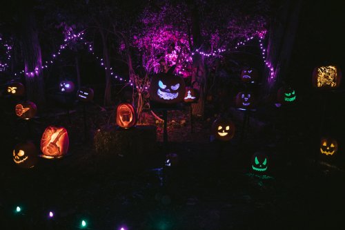 A spooky display of illuminated jack-o'-lanterns in a dark setting, surrounded by colorful lights and trees.