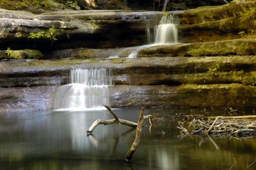 A serene waterfall cascades over rocky ledges into a calm pool, surrounded by lush greenery and fallen branches.