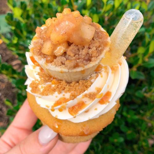 A close-up of a cupcake topped with cream, crumbled topping, and a mini dessert cup filled with fruit.