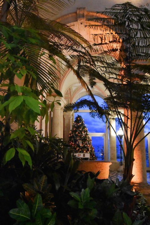 A beautifully decorated Christmas tree surrounded by lush greenery in a softly lit indoor space.